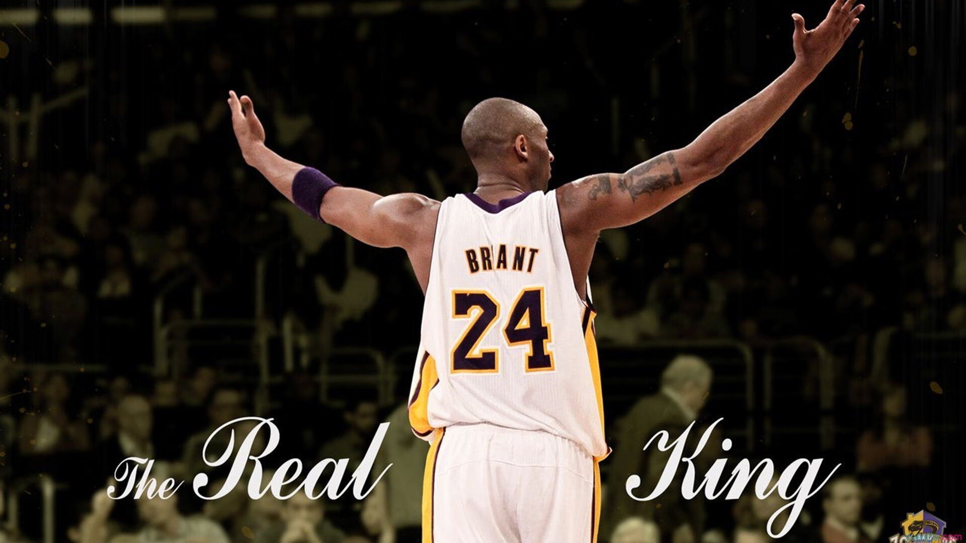 体育新闻中心赛事市场观察，体育赛事新闻标题