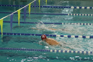 mk体育官方网站-自由泳预赛突尼斯多人晋级，自由泳2021